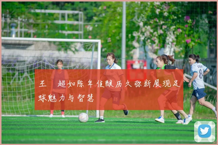王燊超如陈年佳酿历久弥新展现足球魅力与智慧