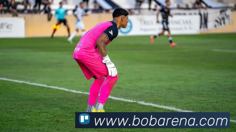 BOB体育APP 封面图